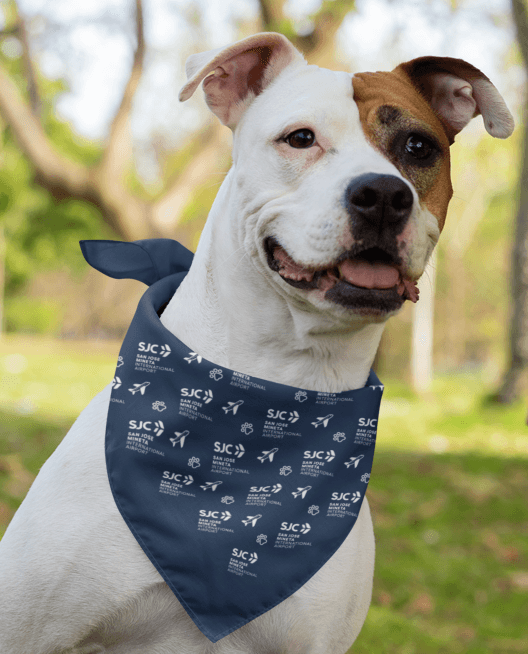 Pet Bandana - Navy, One Size